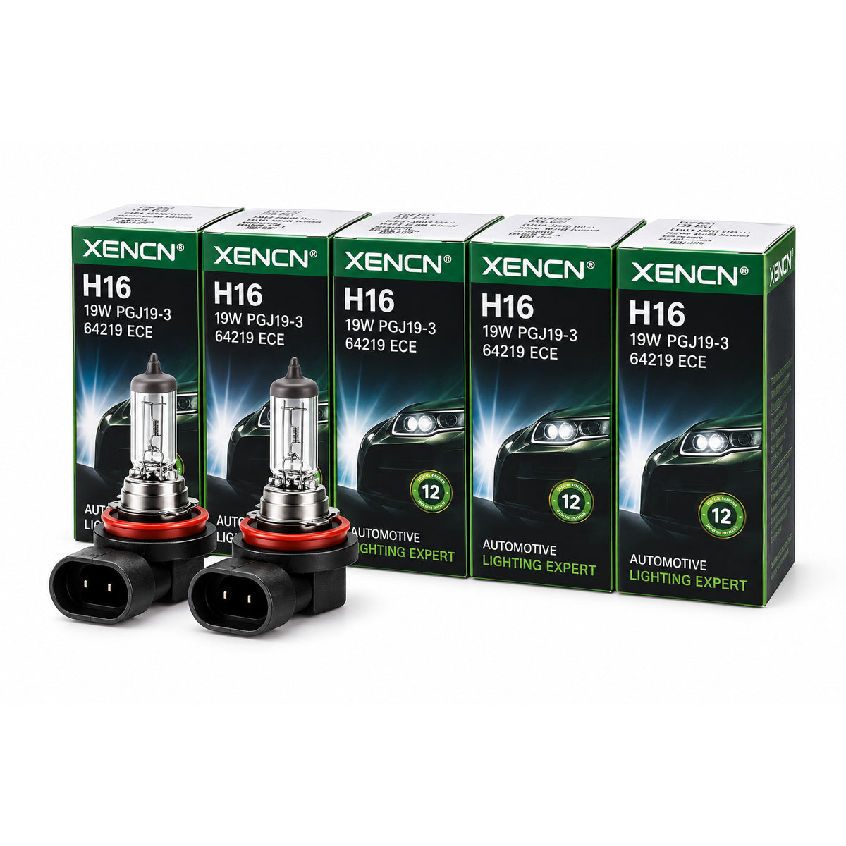 XENCN H16 Halogen Headlight Bulbs – German Technology | 2 & 10 Pack